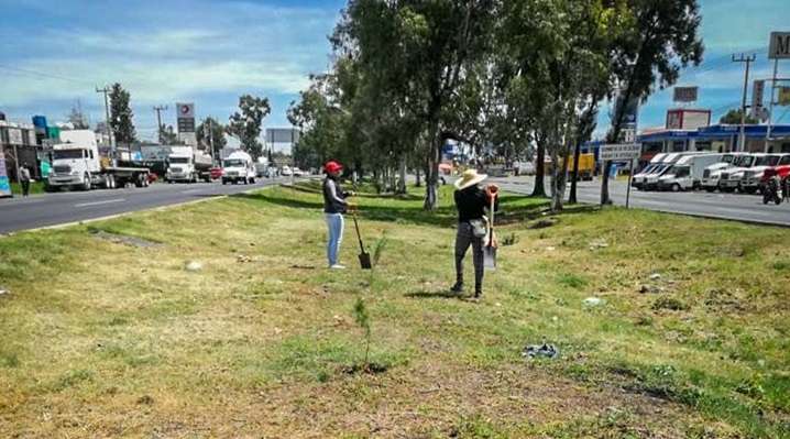 Se invita a la comunidad en general a respetar las áreas verdes
